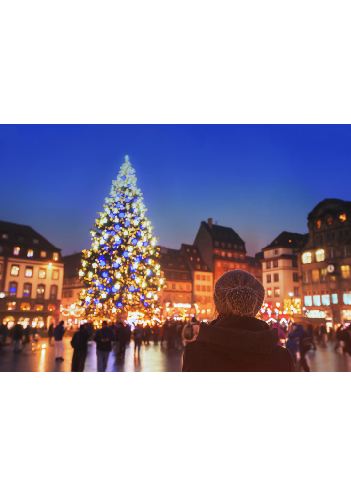 La tradition du marché de Noël et du marché des santons en Provence est profondément enracinée dans la culture de cette région du sud de la France. Ces marchés offrent une véritable expérience immersive de la période de Noël, riche en couleurs, en odeurs et en traditions.
