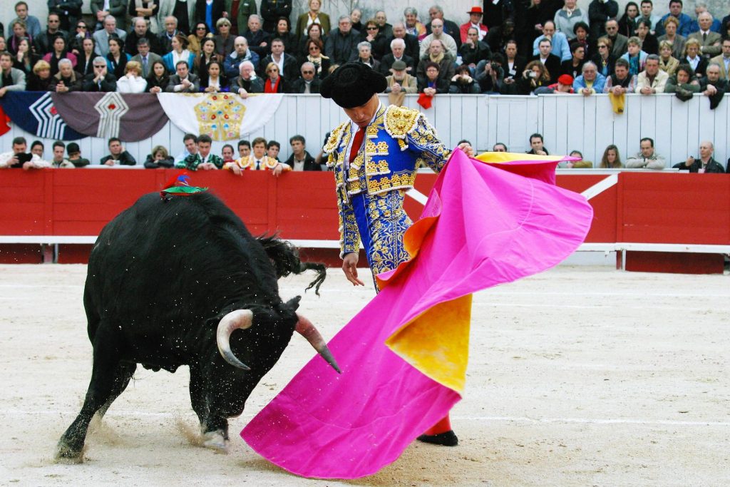 La Féria d'Arles est l'un des événements les plus emblématiques de la ville d'Arles, située dans le sud de la France. Cette féria est une célébration majeure qui combine corridas, spectacles équestres, concerts, défilés, danses et festivités traditionnelles. Voici un aperçu des festivités typiques de la Féria d'Arles : 1. Corridas : La Féria d'Arles est célèbre pour ses corridas qui se déroulent dans les arènes antiques de la ville. Ces spectacles taurins attirent des spectateurs du monde entier. 2. Abrivado et bandido : Ces événements consistent en l'encadrement des taureaux par les gardians, les gardiens de troupeaux de la région, à travers les rues de la ville. C'est une démonstration de compétence et de tradition. 3. Courses camarguaises : Ces courses mettent en vedette des taureaux camarguais et des raseteurs qui tentent d'attraper des cocardes attachées aux cornes des taureaux, mais sans leur infliger de blessures. 4. Spectacles équestres : La Féria d'Arles comprend également des spectacles équestres mettant en valeur l'art de l'équitation traditionnelle, souvent en lien avec la culture camarguaise. 5. Concerts et animations : Pendant la féria, la ville est animée par des concerts en plein air, des défilés, des feux d'artifice et d'autres divertissements pour les résidents et les visiteurs. 6. Ferias de Nîmes : La Féria d'Arles est souvent associée à la Feria de Nîmes, une autre grande féria qui se déroule dans la région. De nombreux amateurs de corridas et de festivités taurines participent aux deux événements. Ces festivités attirent chaque année des milliers de visiteurs, faisant de la Féria d'Arles l'un des événements les plus importants de la région en termes de culture et de tradition.